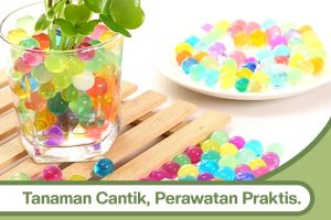 Hidrogel Media Tanam